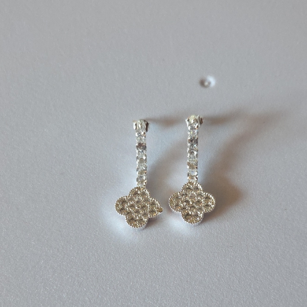 Elegant Silver Drop Earrings